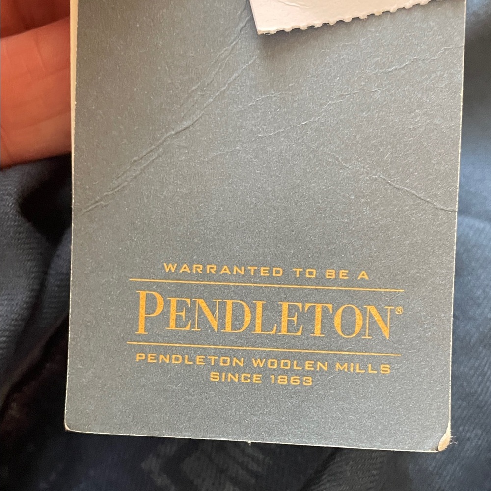 Pendleton Men's Blue Patterned drawstring Pants n… - image 4